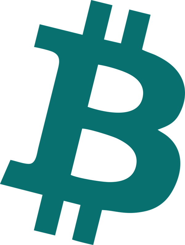 Cryptocurrency: 12 step guide on how to invest in 2025
